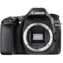 canon 80d body only price