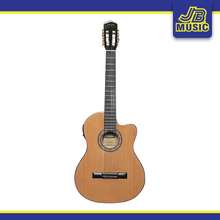 fernando acoustic guitar price