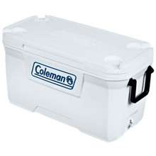 CL PERSONAL COOLER 16 QT JAP RED + FREE STAINLESS BOTTLE - Coleman  Philippines