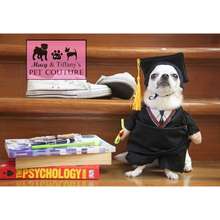Graduation Toga Pet Costume Dog Cat