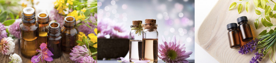 Best Essential Oils Price List in Philippines September 2024