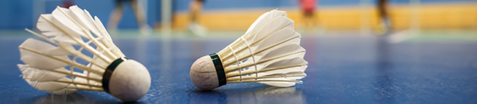 Badminton Rackets for sale in the Philippines - Prices and Reviews in ...