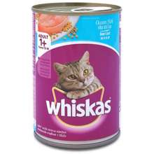 Best Cat Food Price List in Philippines May 2024