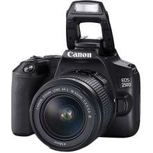 250d price